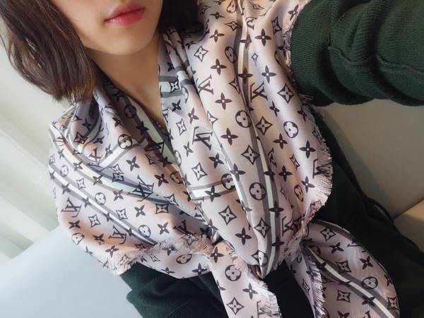 Louis Vuitton Scarf LVC00536